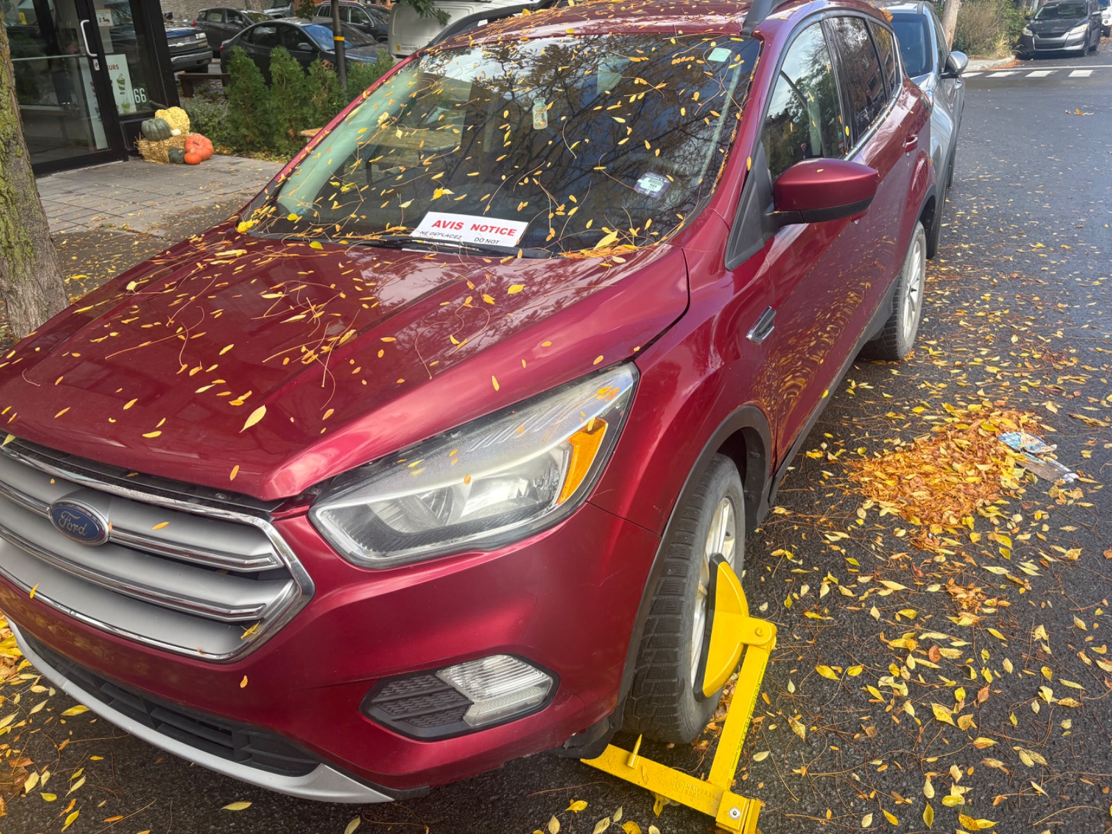 JS - FORD ESCAPE 2017 (26-2245) - photo 2