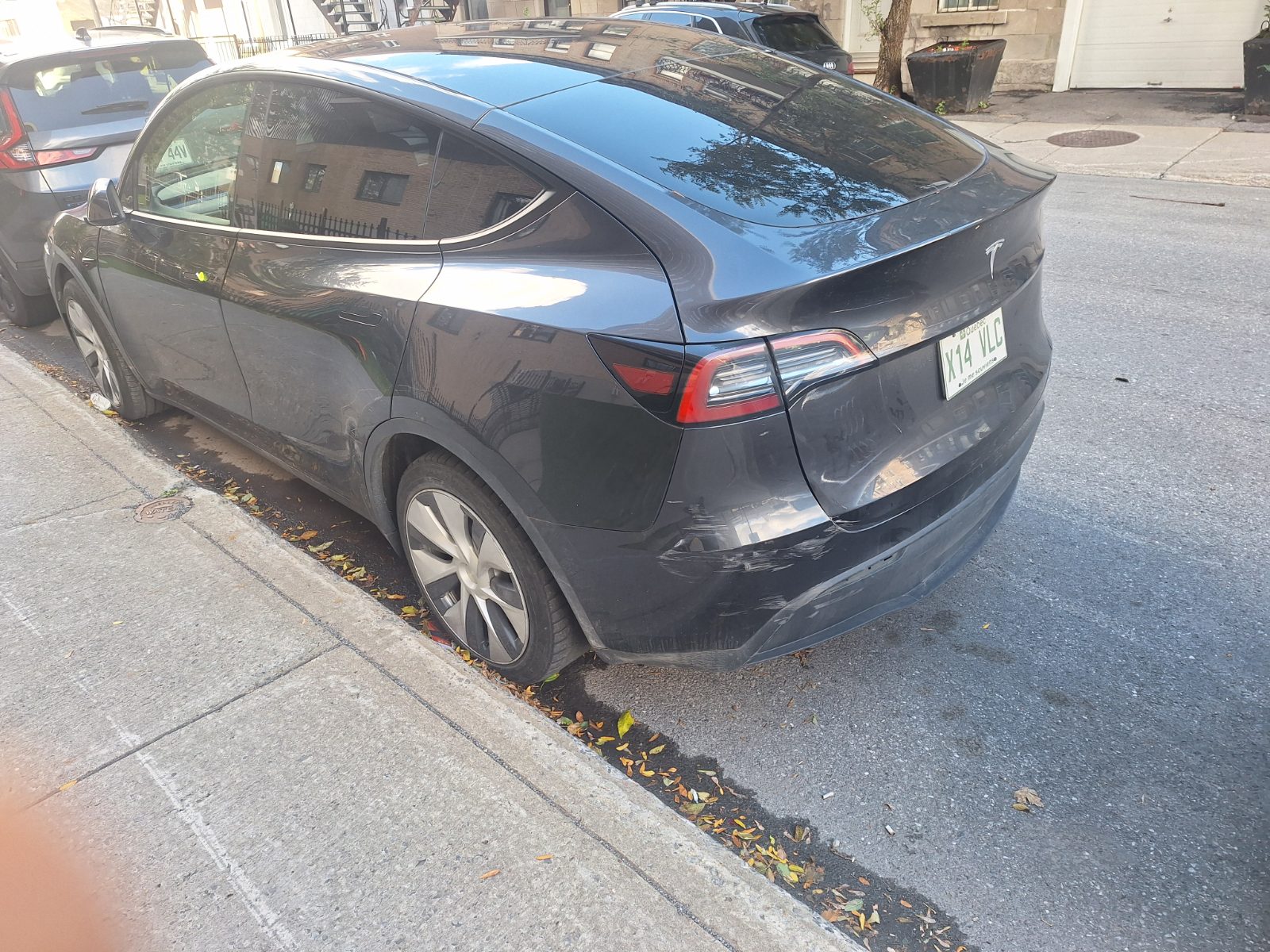 JDP-TESLA Y 2024 (26-2253) - photo 3
